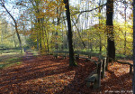 Springendal